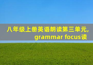 八年级上册英语朗读第三单元,grammar focus读